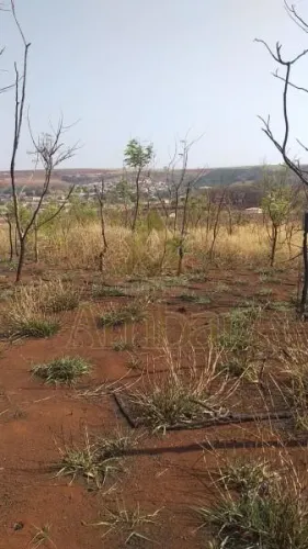 Venda de Comercial / Terreno na cidade de DUMONT