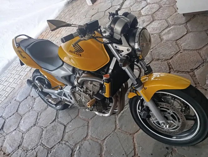 Hornet 600f