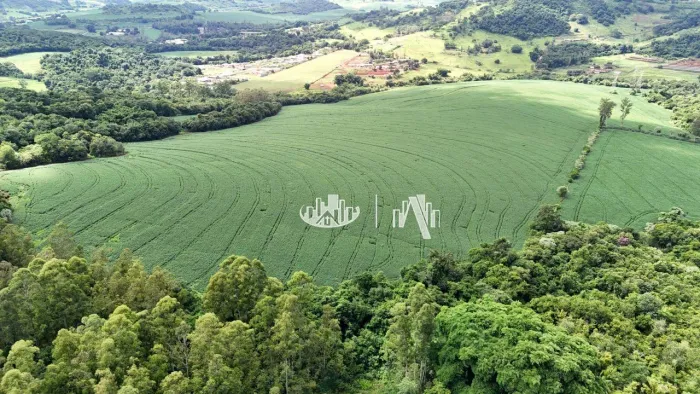 Sítio à venda, 121000 m² por R$ 2.500.000,00 - Patrimonio Espirito Santo - Londrina/PR