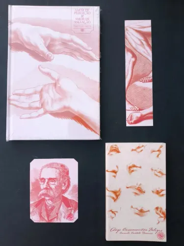 Clube de Literatura Clássica, Amor e Perdição