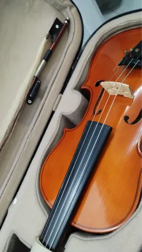 Violino 4x4