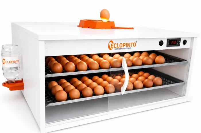 VENDO CHOCADEIRA ECLOPINTO 360 OVOS