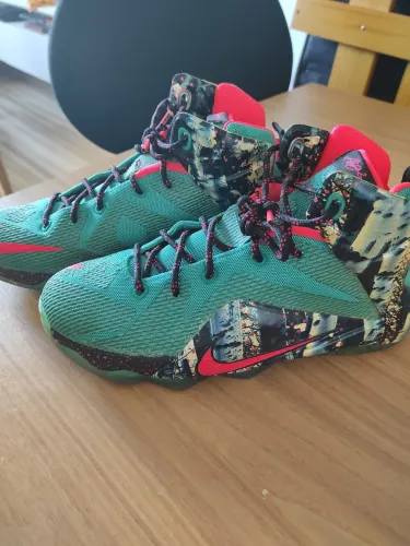 Nike LeBron 12