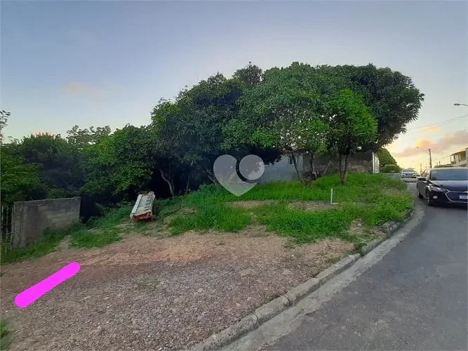 Terreno 433m² - Serraria
