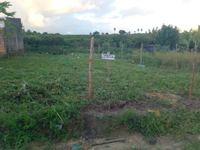 Terreno no povoado tombo