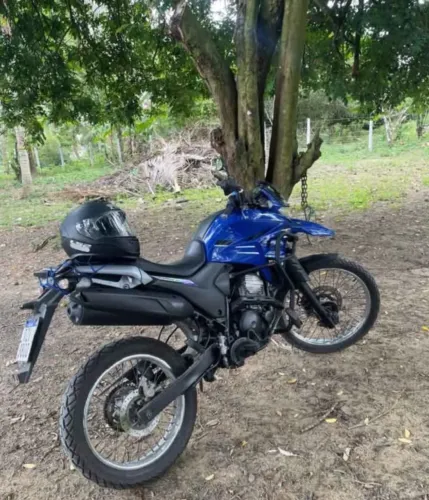 Vendo Lander