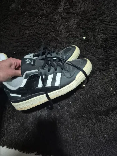 Tenis