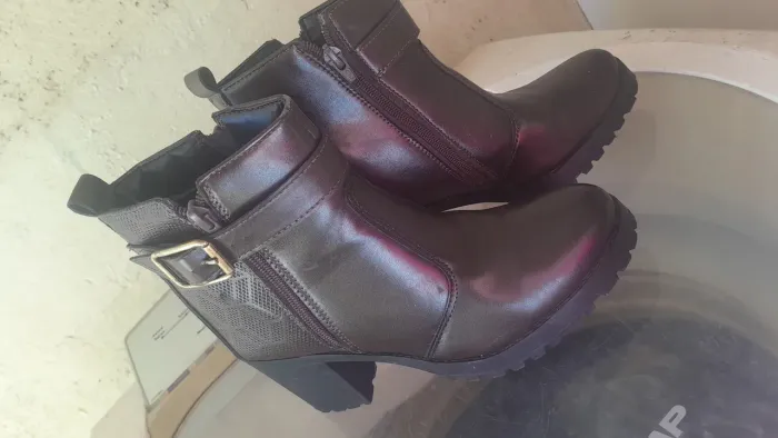 Bota