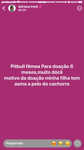 Doação de cachorro