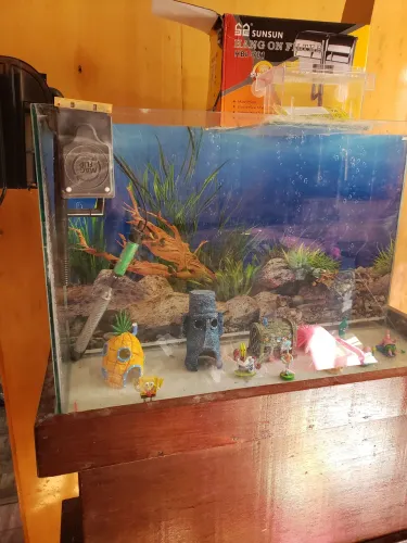 Aquário completo 80 litros