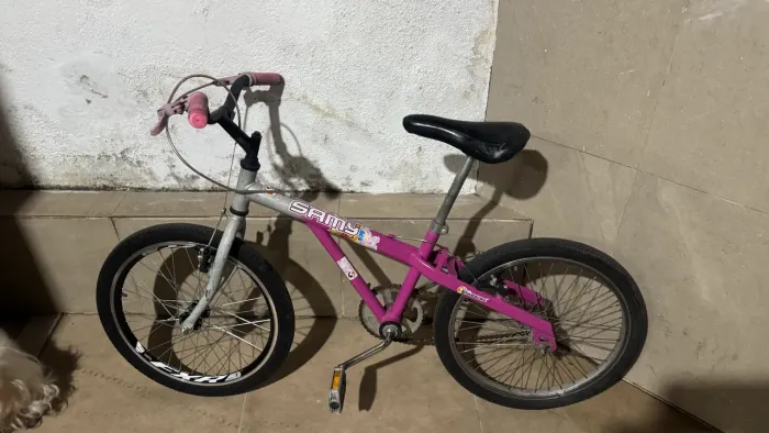 Bicicleta