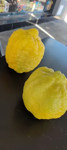 Lima siciliano gigante