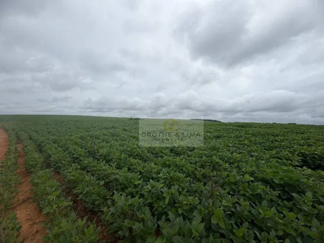 Fazenda à venda, 10500000 m² por R$ 110.000.000,00 - Parque das Nações - Alfenas/MG