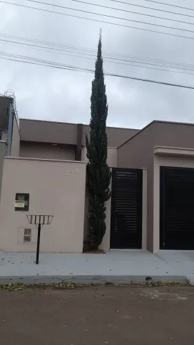 Pinheiro 6 metros