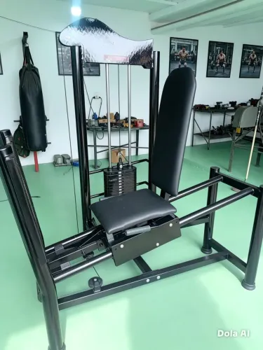 Leg press horizontal