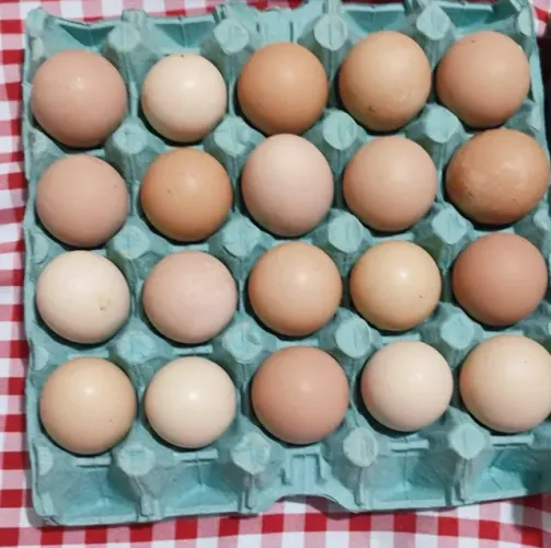 Ovos Caipiras orgânicos de excelente procedência. R$ 18,00 a dúzia