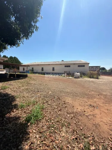 Oportunidade Estratégica em Ibiporã: barracão Industrial de 5.000 m² com doca