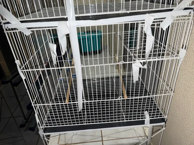 Vendo gaiola nova