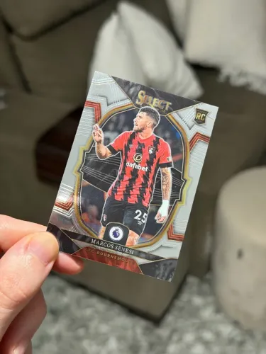 Card panini select