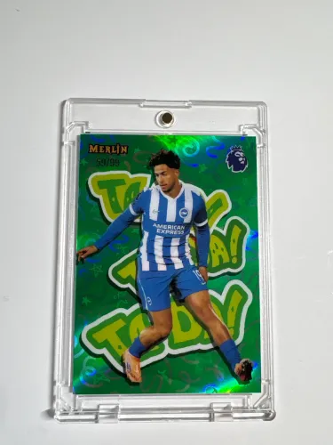 Merlim kostoulas 59/99
