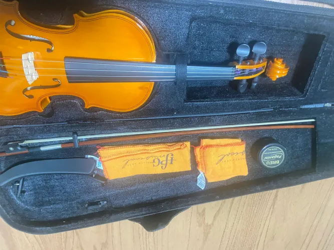 Violino