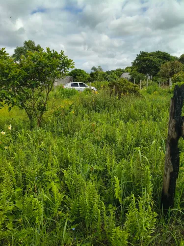 Lote na lagoa do Aguiar Linhares 