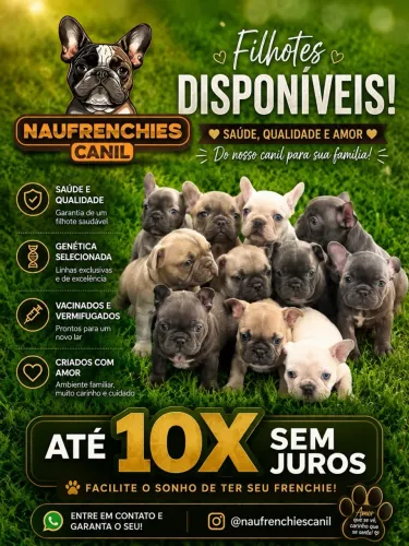 Lindos bebês disponíveis 