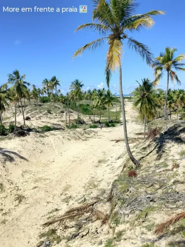 VENDO TERRENO COM 1KM DE DISTÂNCIA DA PRAIA E DUNAS DA CAUEIRA