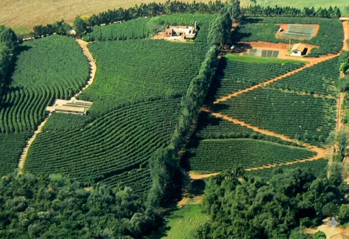Sítio com cafeicultura à venda em Morungaba