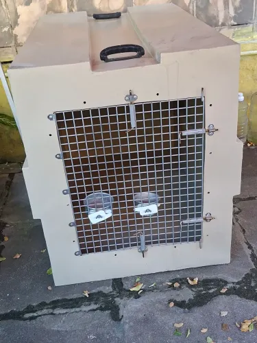 Caixa de transporte Pet