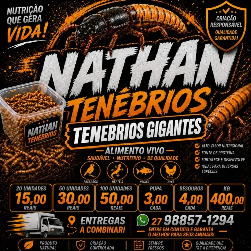 Tenebrios gigantes