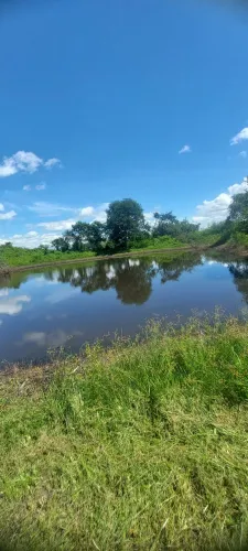 Vendo 2 tarefas de terra com tanque em irará 2 km da BA 5 km do centro de Irará 