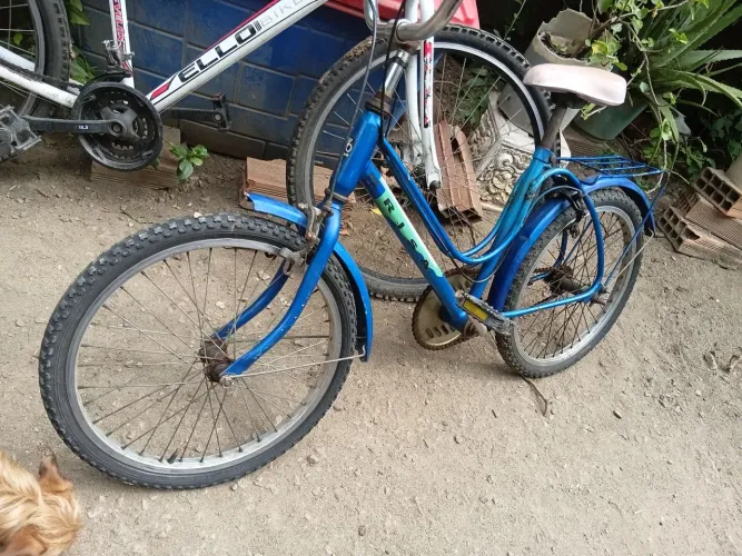 Bicicleta brisa aro 20