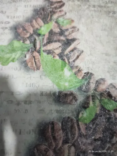 Ajudante serviços gerais