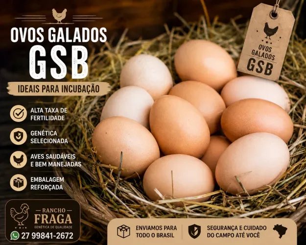 Ovos Galados GSB