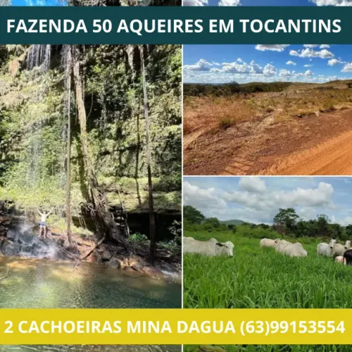 Fazenda em Tocantins Terra muito boa  Preparada para criação de Gado ou para Plantação