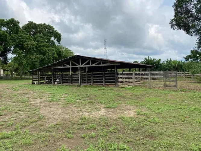 Fazenda 200 hectares na AM 010 KM 195 2.500.900