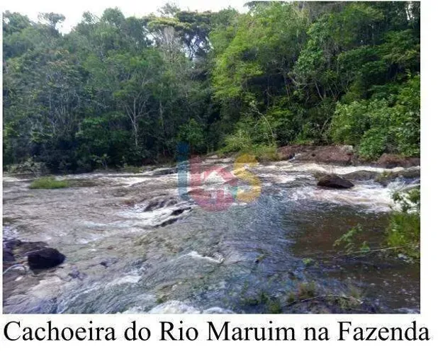 VENDO FAZENDA EM UNA
