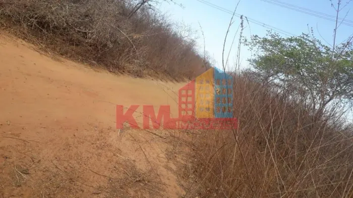 VENDA! Imóvel Rural com 331 hectares em Carnaubais-RN!