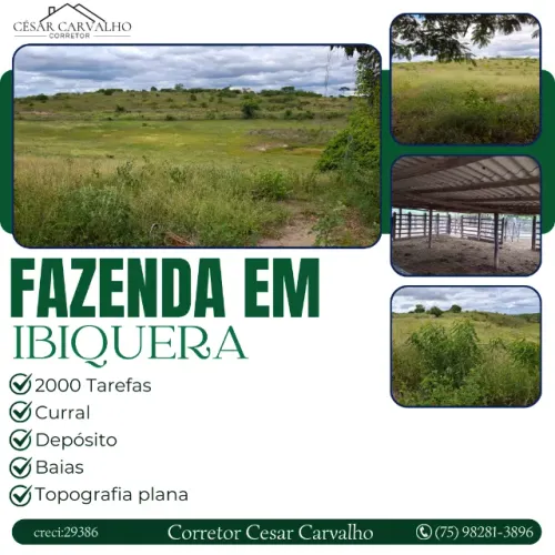 FAZENDA EM IBIQUERA - 2000 TAREFAS