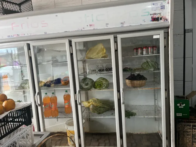 Freezer gelopar 6 portas, funcionando perfeitamente 