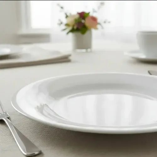 PRATOS DE PORCELANA