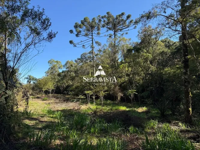Terreno para chácara com araucárias - 34.500 m2