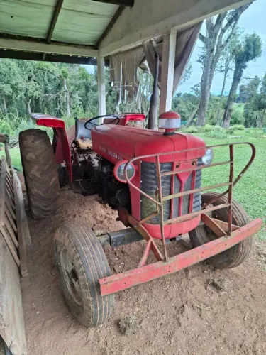 VENDO TRATOR MASSEY FERGUSON MF 65X - Pronto pro trabalho!