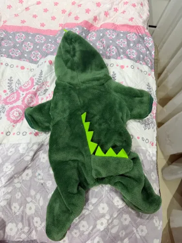 Fantasia dinossauro para Pet