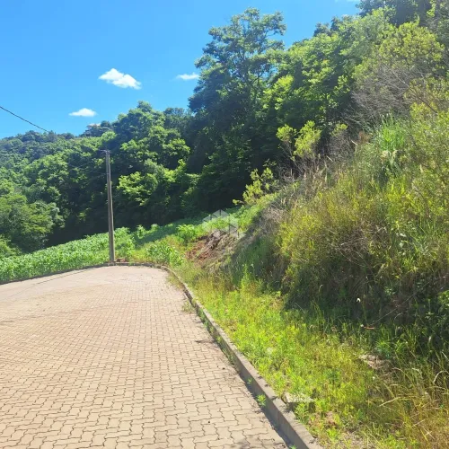 Terreno com 464,02 m2 em área arborizada na serra gaúcha