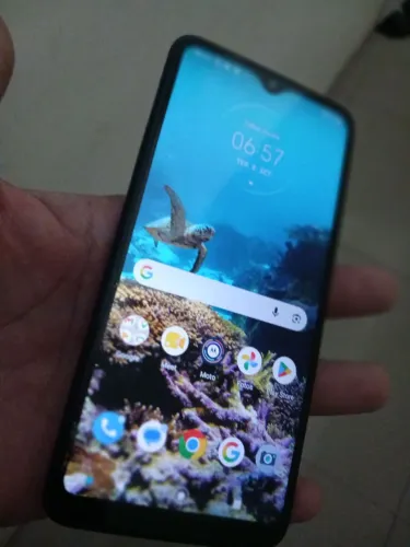Celular