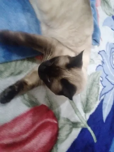 Doação