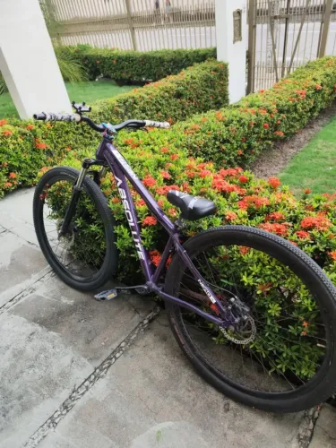 Bicicleta absolute Nero 5 roxa, aro 29 com freio Shimano 