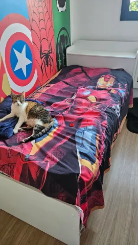 Cama solteiro + 2 colchões novos